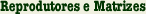 wx_gir_leiteiro_reprodutores_e_matrizes
